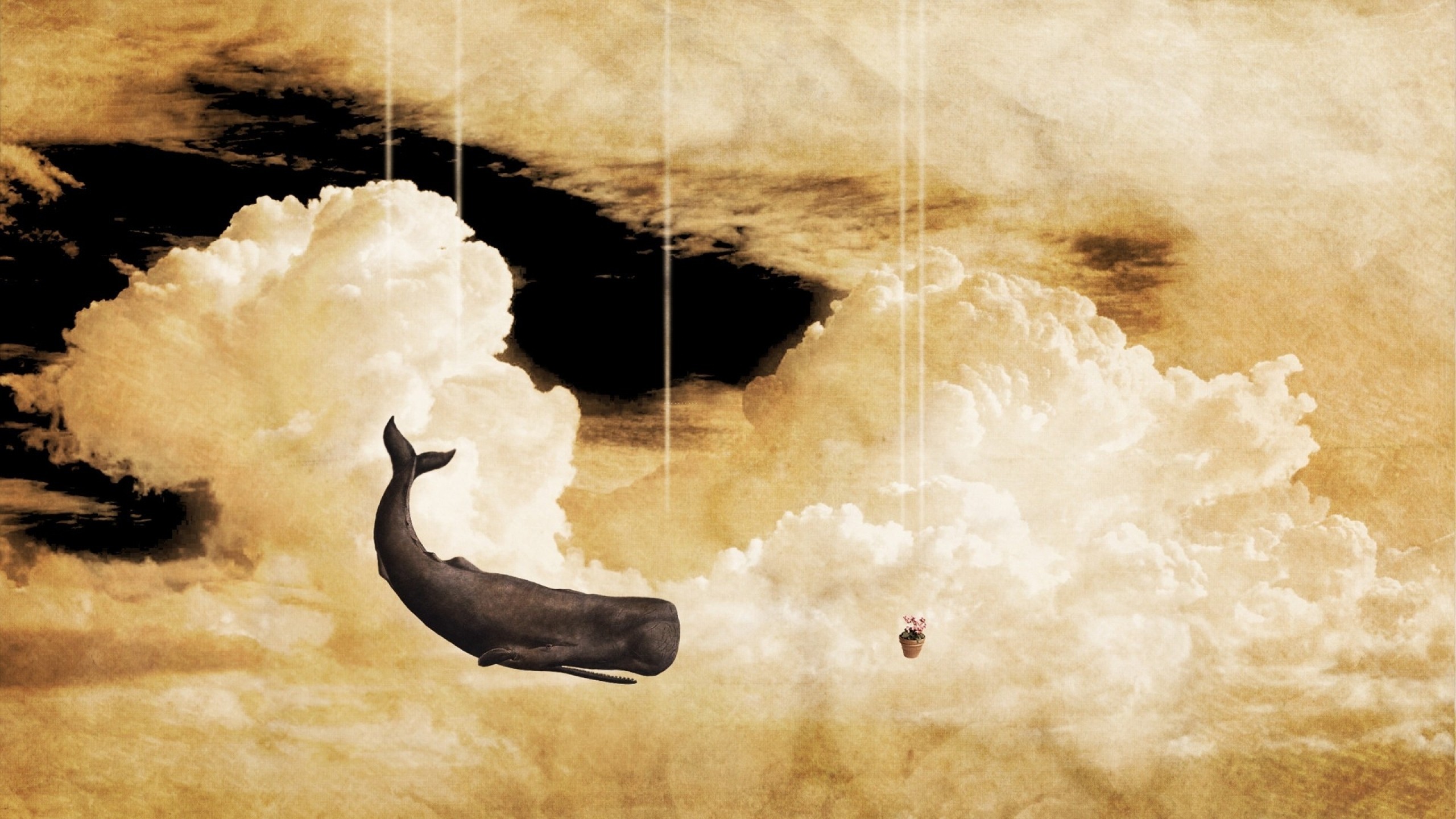 Oh No, not again - Zoom Comics – Exceptional Comic Book Wallpapers