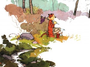 Calvin & Hobbes – Explorers