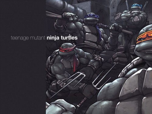 Teenage mutant ninja turtles – lookin cool