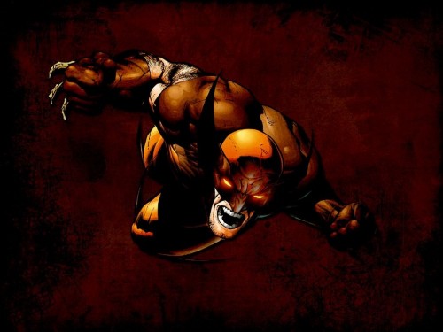 wolverine