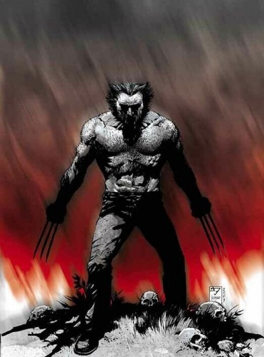 Wolverine in Red