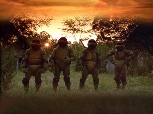 Teenage Mutant Ninja Turtles At Sunset