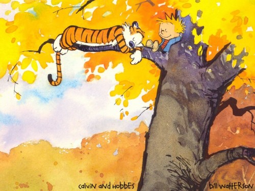 calvin and hobbes