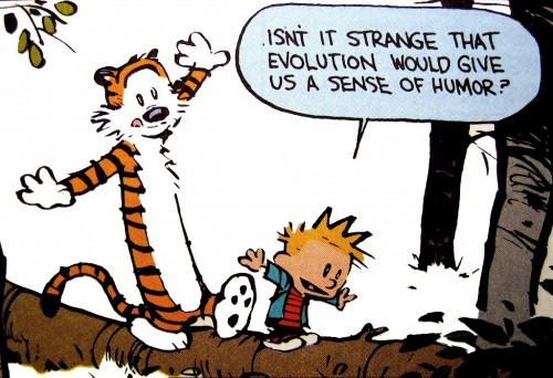 calvin and hobbes – evolutionary humor