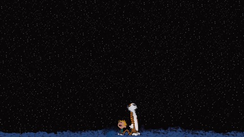 calvin and hobbes look at the stars