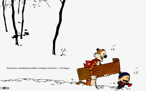 calvin and hobbes – something incredible