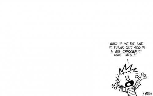 calvin wonders about big chickens