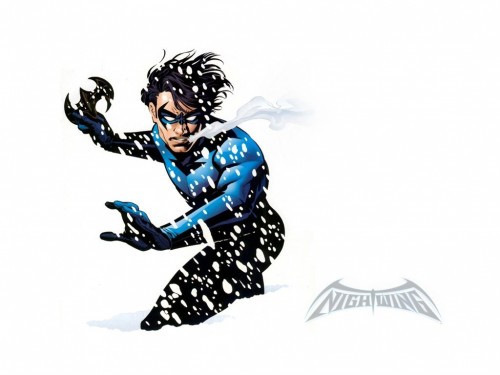 nightwing in snow