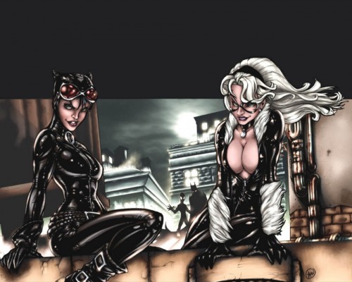 catwoman and black cat