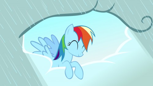 rainbow dash brings the sunshine