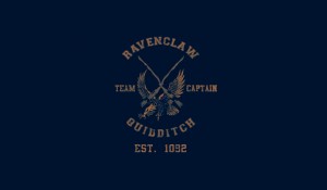 Ravenclaw Quidditch