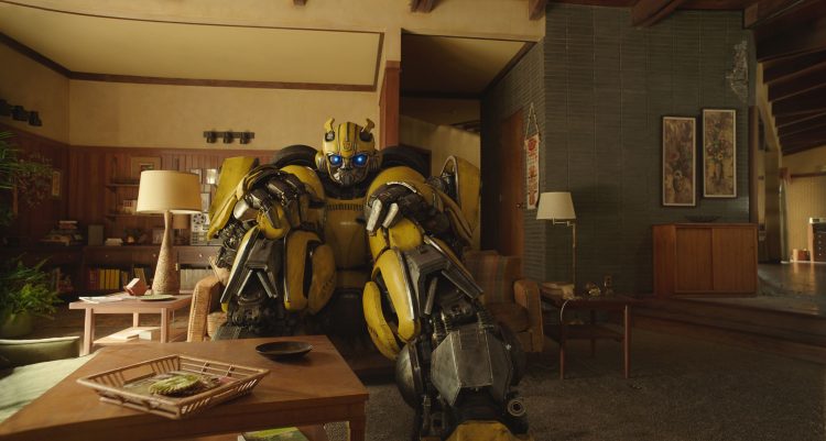 bumblebee in the living room