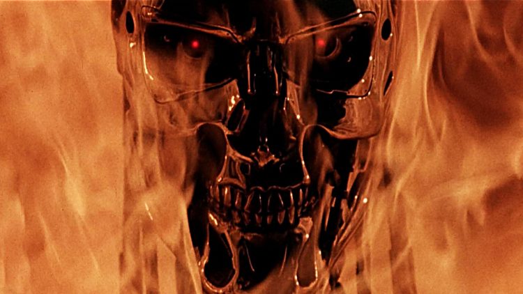 terminator in flames