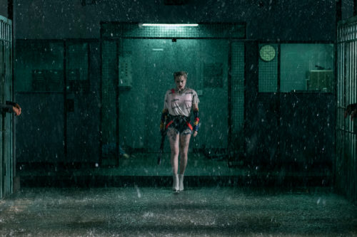 Harley in The Rain