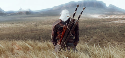 The Witcher’s Field