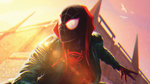 spider-man has a bird