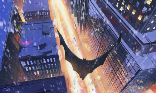 a bat in flight