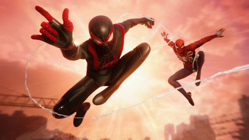 two spiders