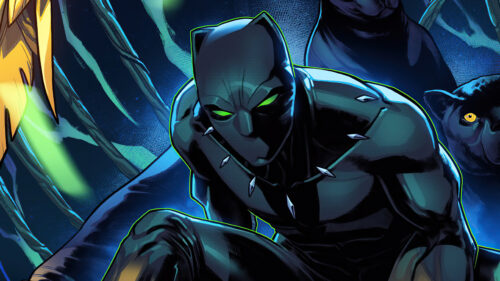 Black panther