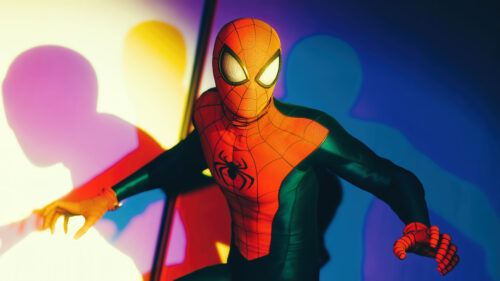 spider-man caught