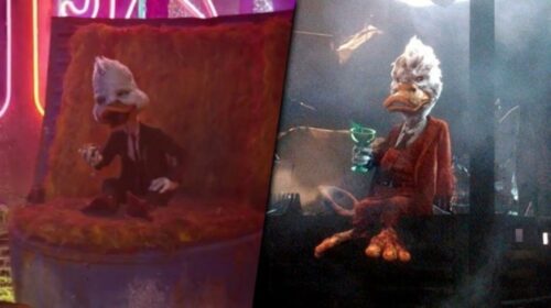 Cant wait to see Howard the Ducks next cameo in Guardians of the Galaxy vol 3 though fingers crossed for a bigger role