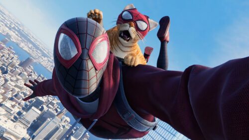 Spider Man and Cat.